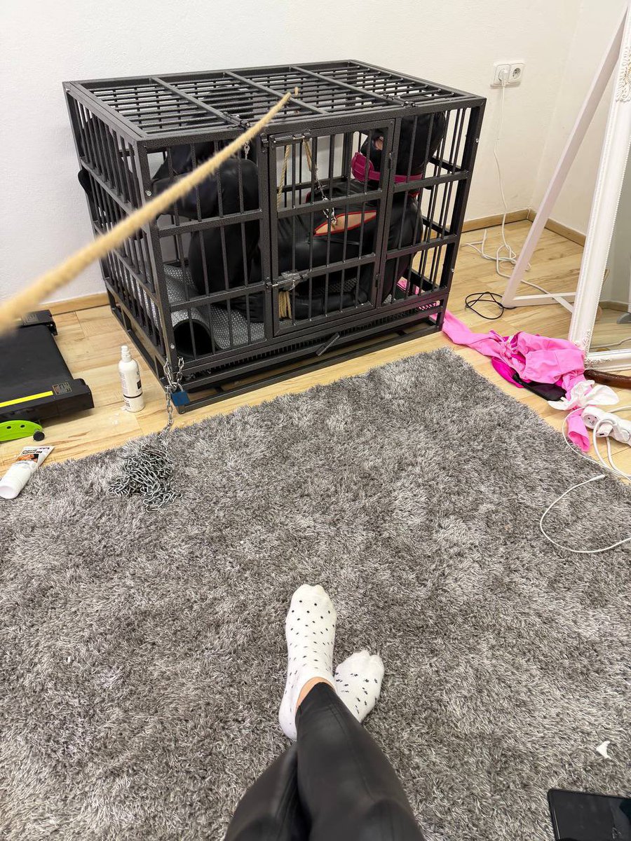 sofia tweet media