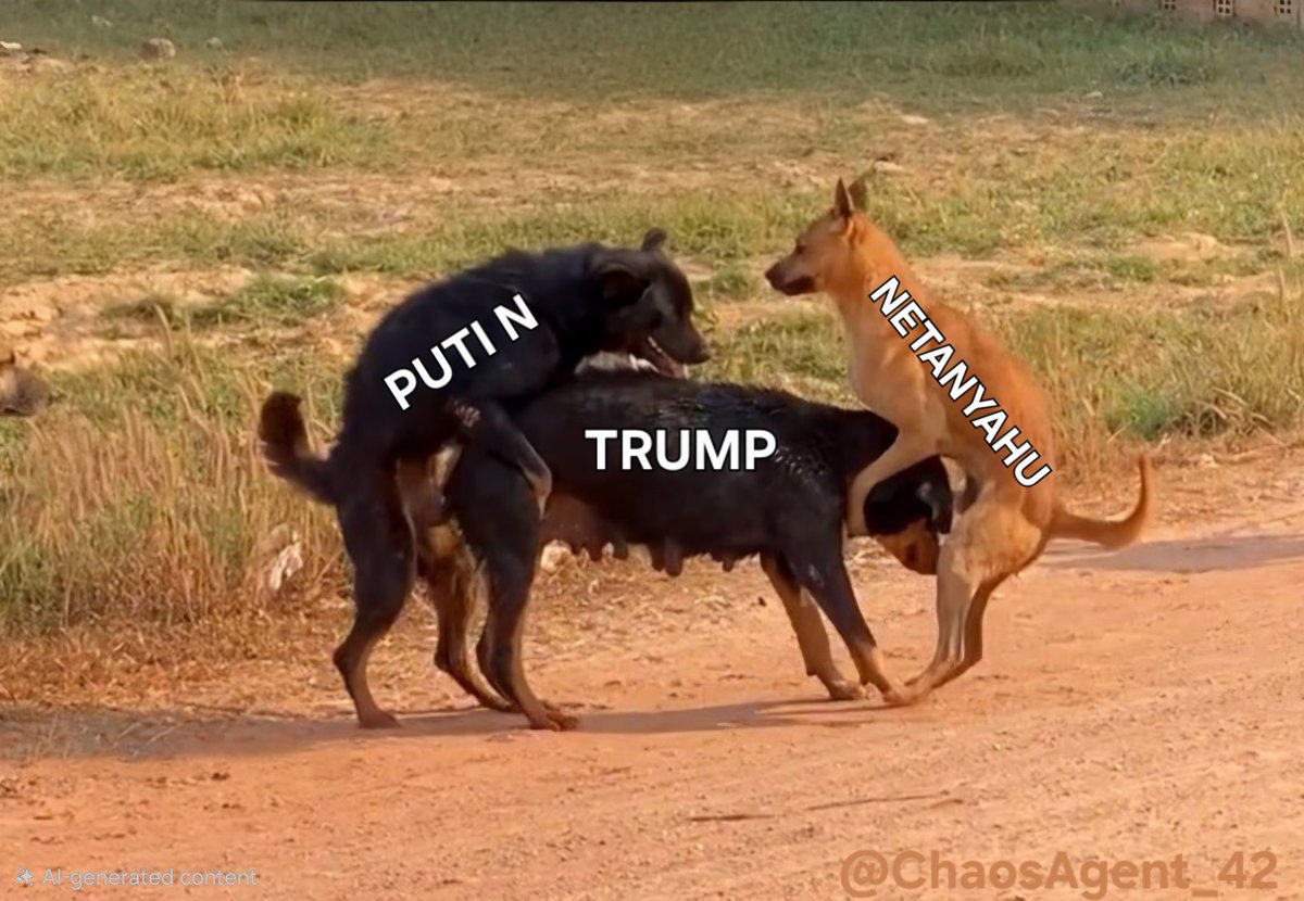 VanDammit™ tweet media