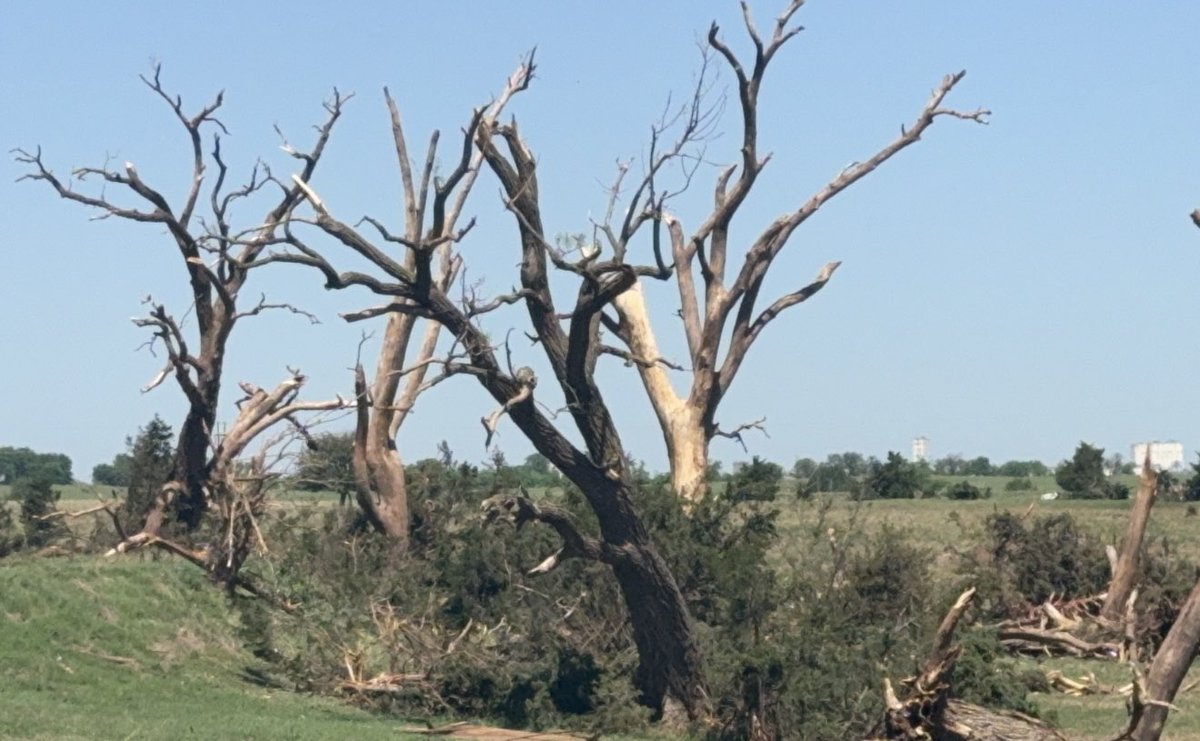CPalermo_Storms's tweet photo. Enid was one of the more EF5 capable tornadoes we have seen this decade. While I doubt it’ll achieve that rating; the contextuals point to an extremely violent tornado (along most of its path) with complete debarking of trees/shrubbery, ground scouring, and vehicle annihilation. https://t.co/z0Nv4vva7A
