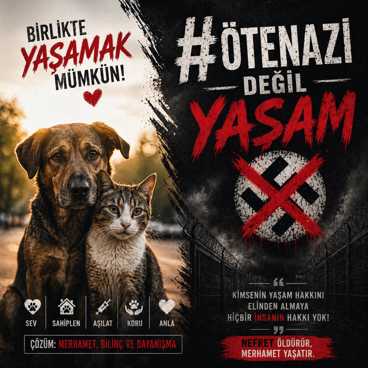 Cemal Alp Solak tweet media