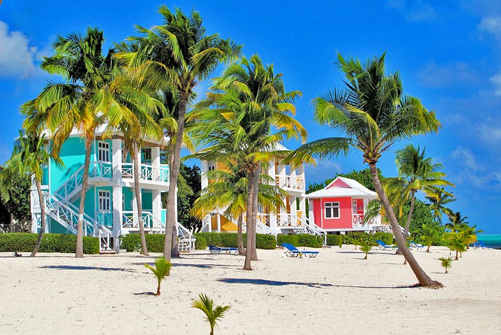 ChiroRecruit's tweet photo. Seeking Chiropractor - Cayman Islands (Caribbean)

CRYO 345 Health and Wellness Centre is seeking a chiropractor with a strong ethic and love for chiropractic to join our team in the beautiful sunny Island of Grand Cayman (Cayman Islands).

#chiropractic #chiropractor https://t.co/4KOricUR2G