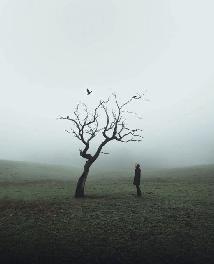 Hakikat Sesi tweet media