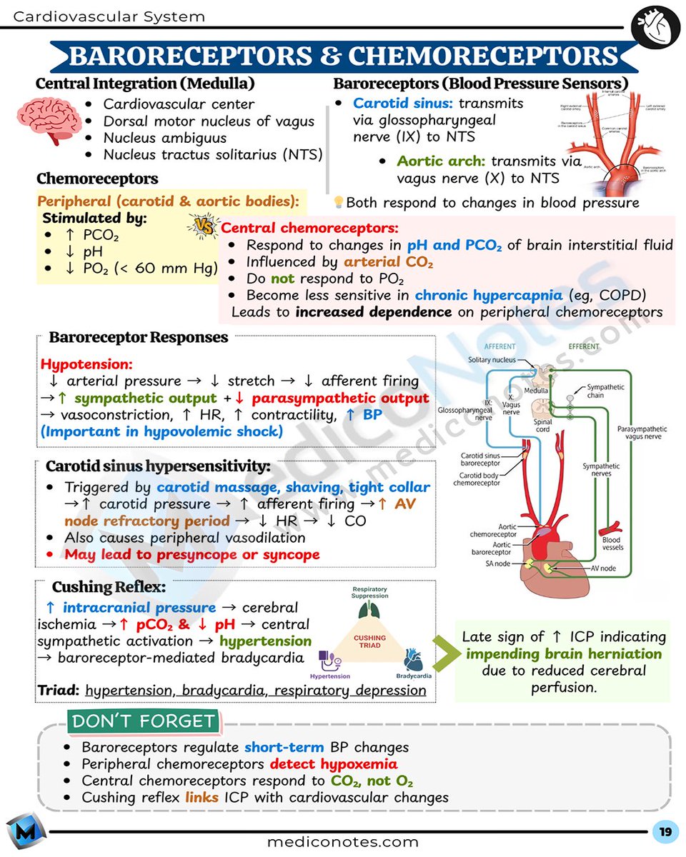 MedicoNotes tweet media