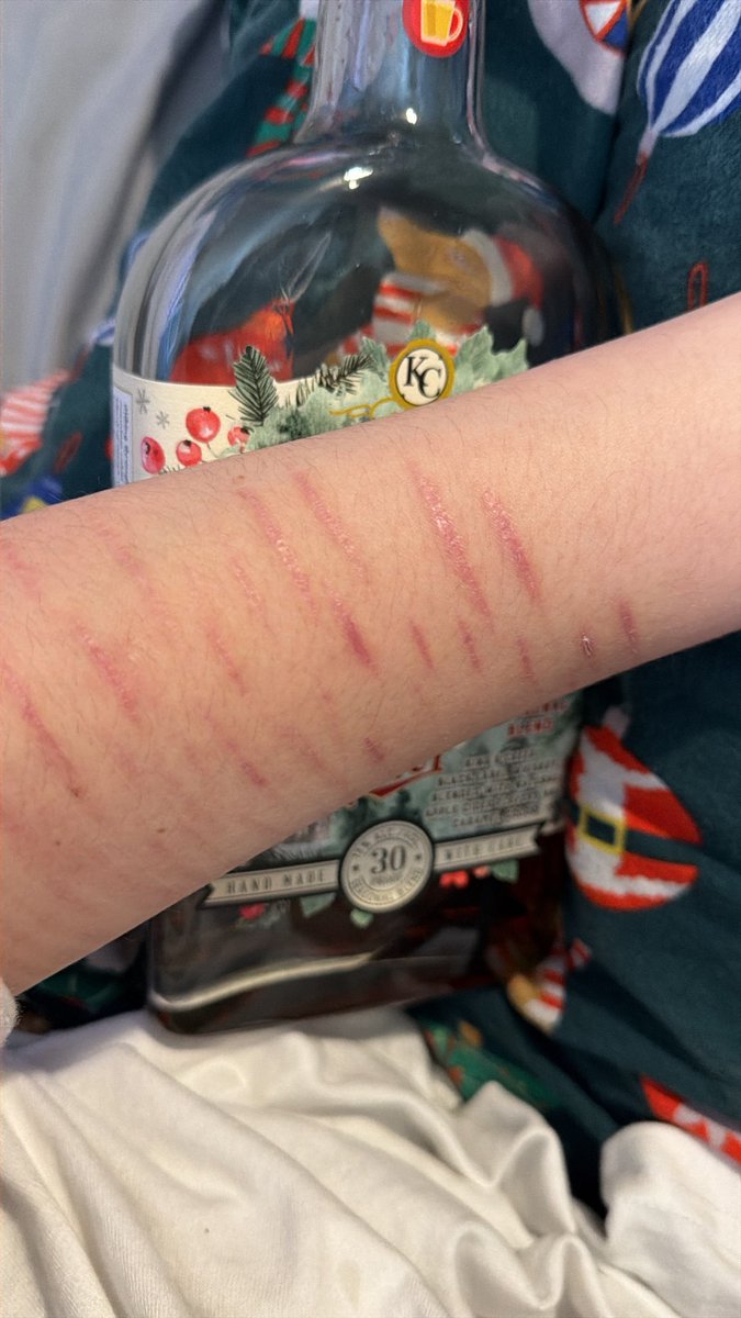 ᥫ᭡.ִֶָ𓂃So~da 𝜗ৎ࣪ ִֶָ 𓍼 ☾. tweet media