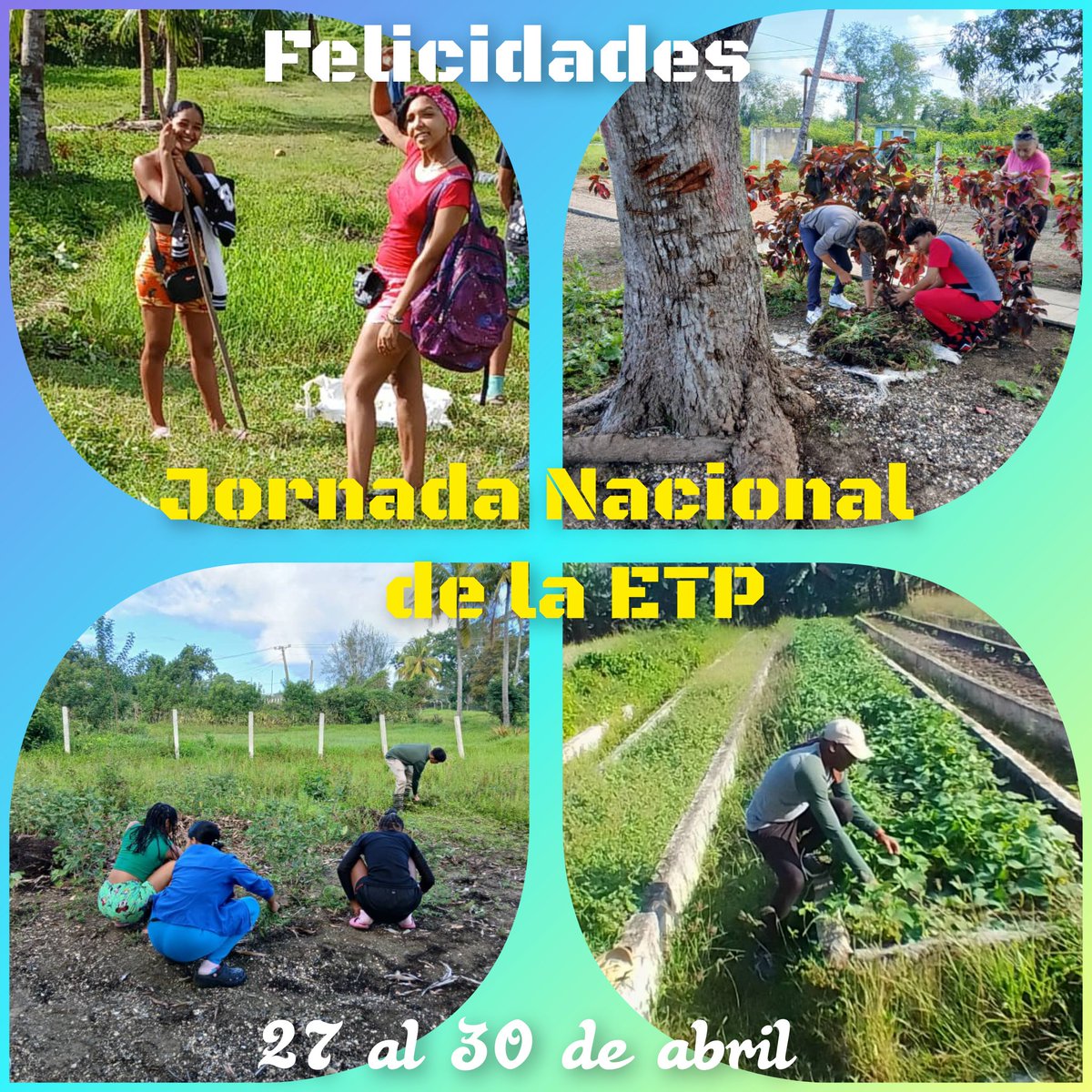 CuetoEducadores's tweet photo. En la Jornada Nacional de la ETP, nuestra felicitación a los estudiantes de la especialidad de Agronomía del CP Carlos Manuel de Céspedes,   que están realizando la práctica de familiarización. 
#EducaciónCueto @DPEHolguin @CubaMined #ETP @naimatrujillob @NelsyYamirka https://t.co/WBCe314tEs