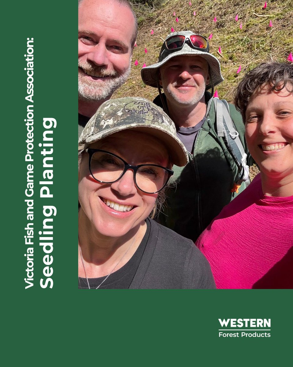 Western Forest Products tweet media