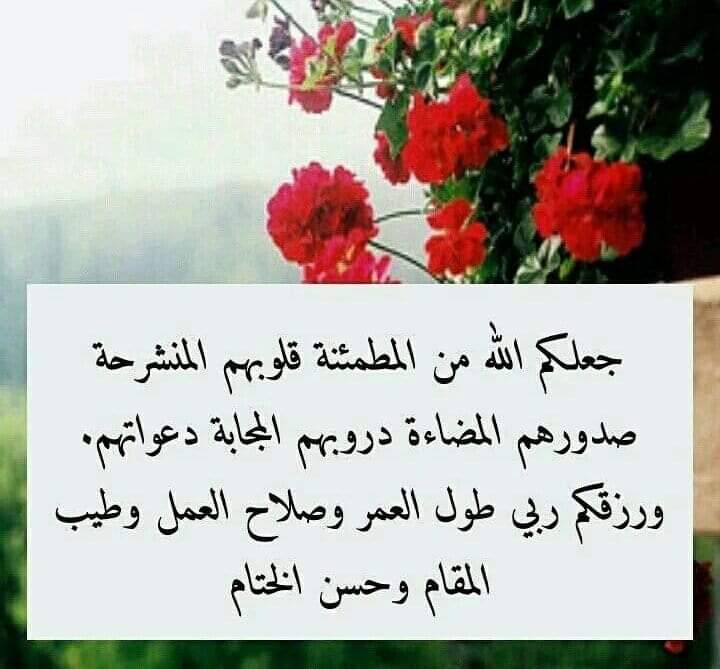 ابوسامي عبده صالح tweet media