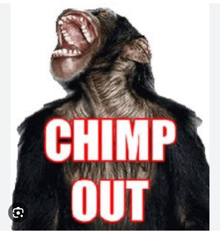 Magadon...47 tweet media