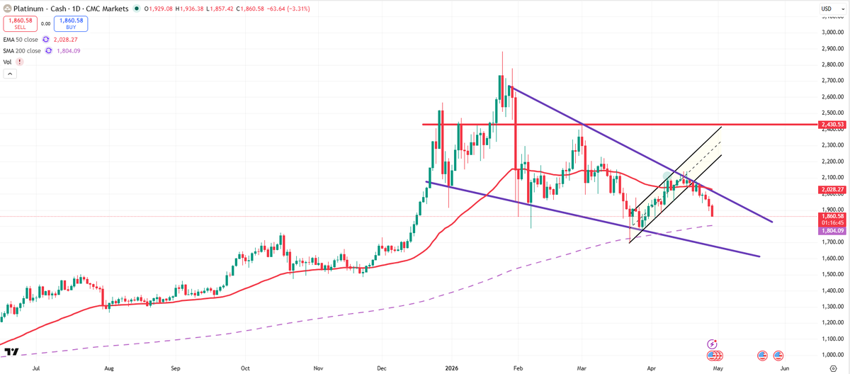 platinum bull 🇬🇧 tweet media