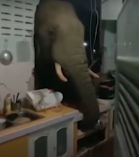 UTDFLAMES tweet media