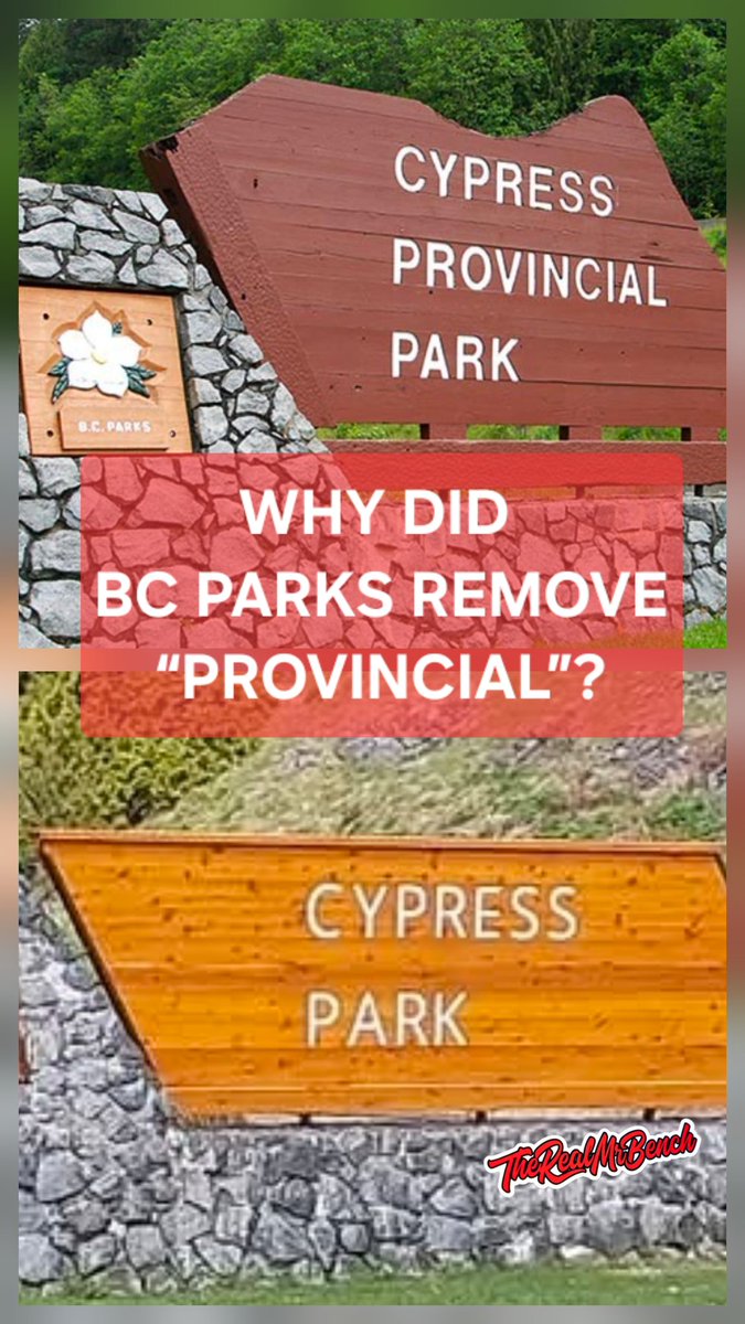 The Real Mr Bench tweet media