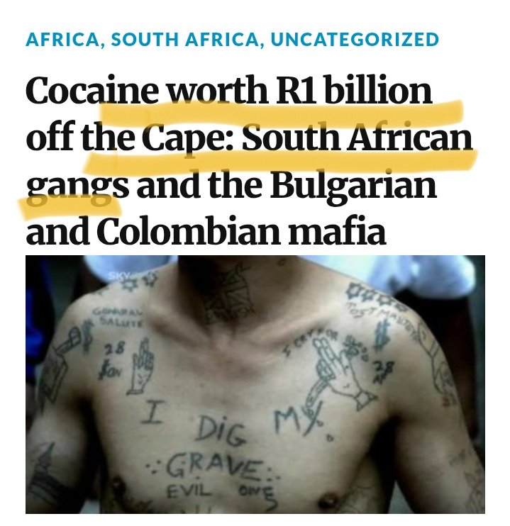 Fighter Rakgadi 🇿🇦 tweet media