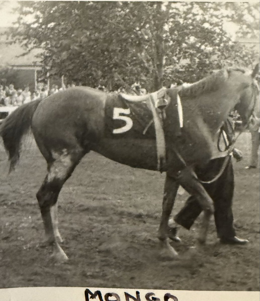seatrip's tweet photo. Monmouth Handicap 1964 https://t.co/3mBIg1f1PA