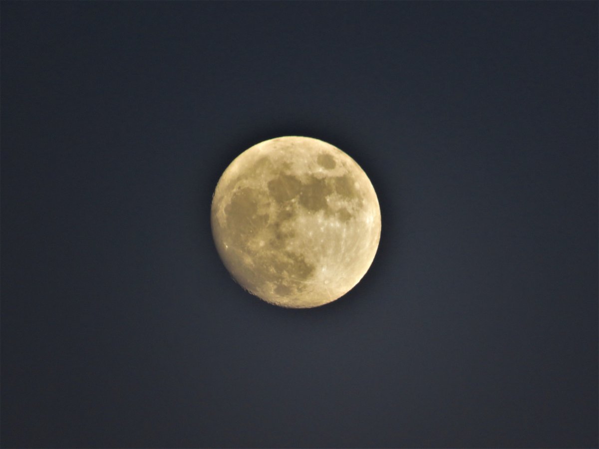 _DundeePerfect_'s tweet image. The #Moon looks almost full but not yet, that comes on the 1st of May.
