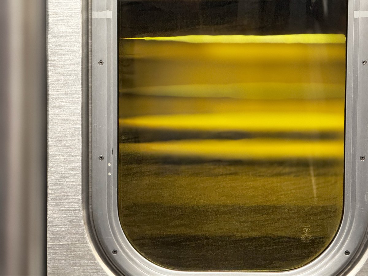 Zebastian ◘ tweet media