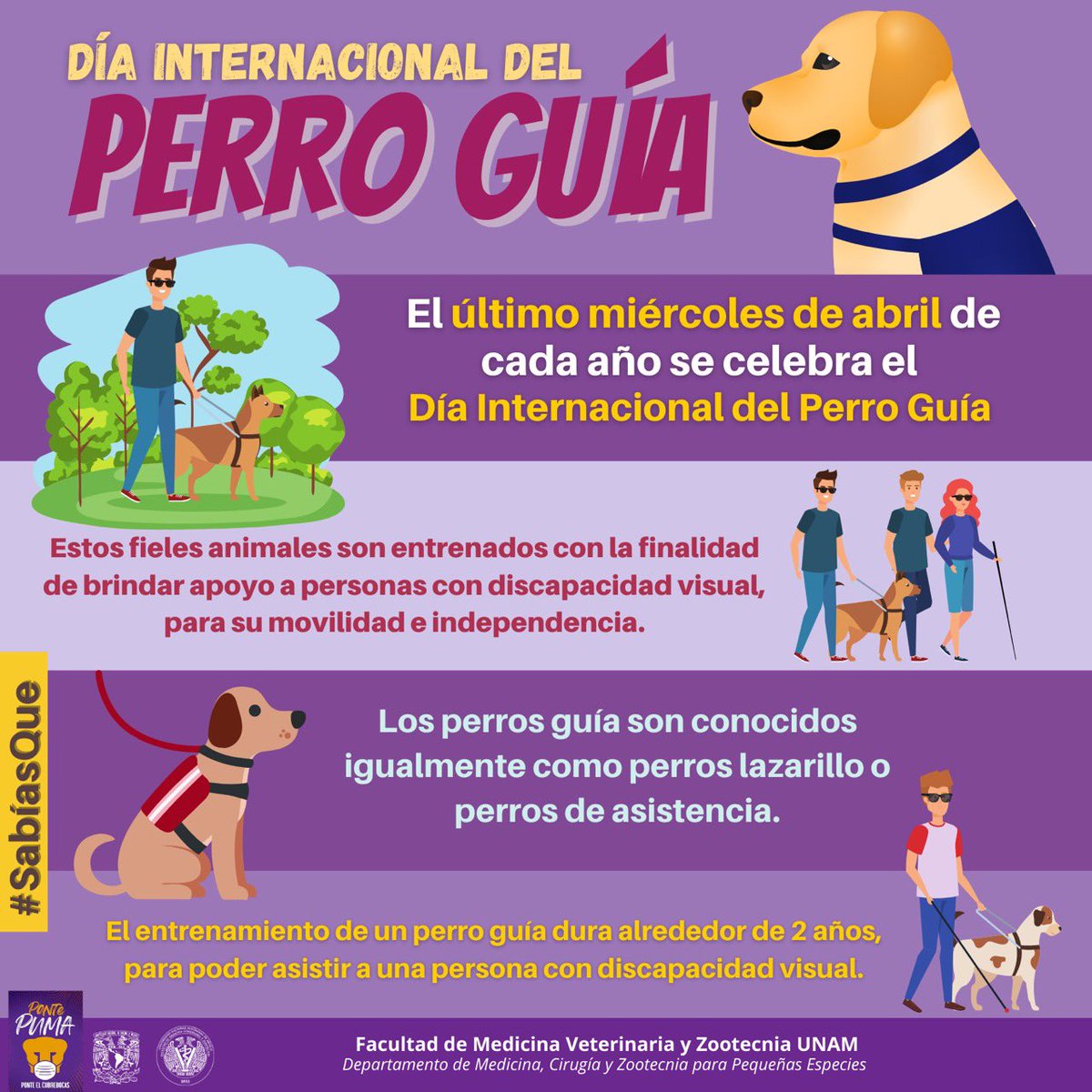Gente por la Defensa Animal (GEPDA) tweet media
