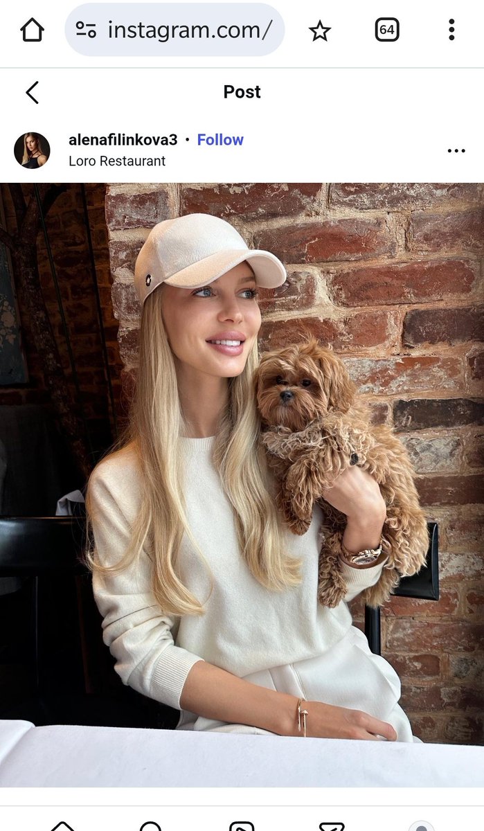 Scammer_Joker's tweet image. Please Privacy/Spam Rpt/Block/Repost this Fake MAGA Account. The Profile picture has been edited to change the Cap to a Maga one. From IG account alenafilinkova3
Acct @abigailmoya195 
x.com/i/user/1421930…
#scammer