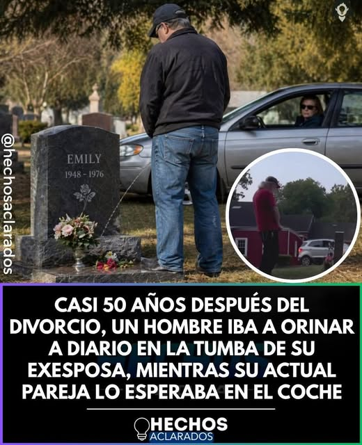 MANDANGA CON V DE VENGANZA tweet media