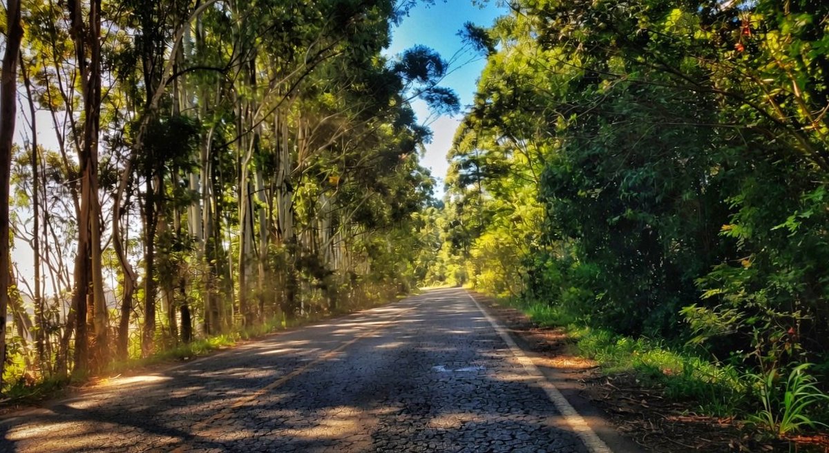 nickoalt's tweet image. Licença quero passar ... 🚜🛣
#GoPro #ontheroad  #photography #road #sunlight