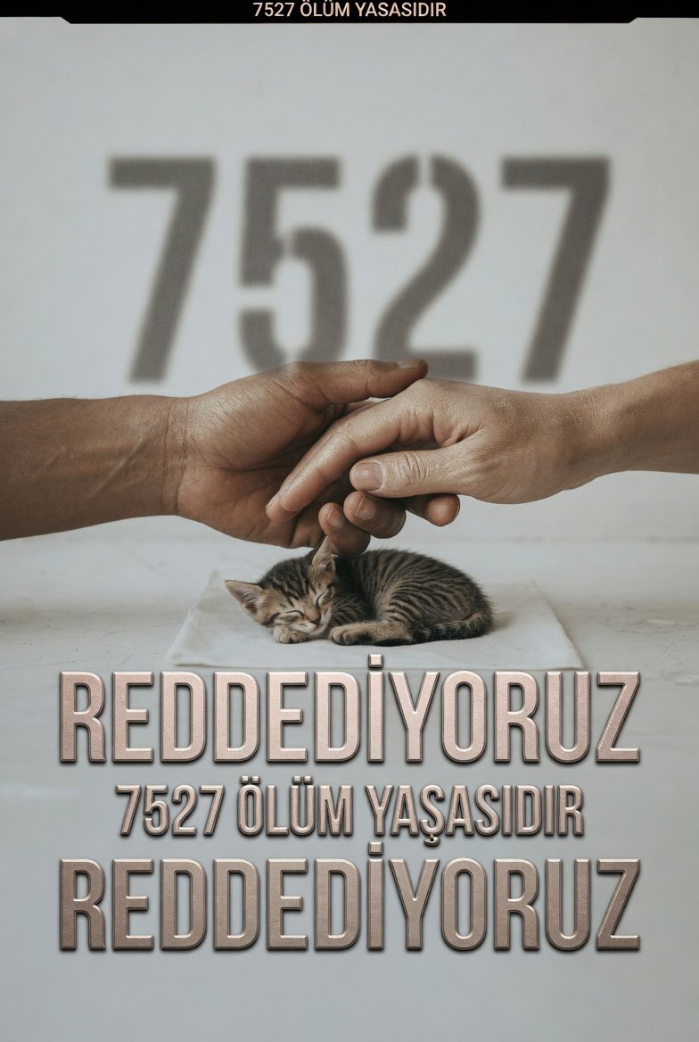 Hayvan Hakları Platformu Türkiye tweet media