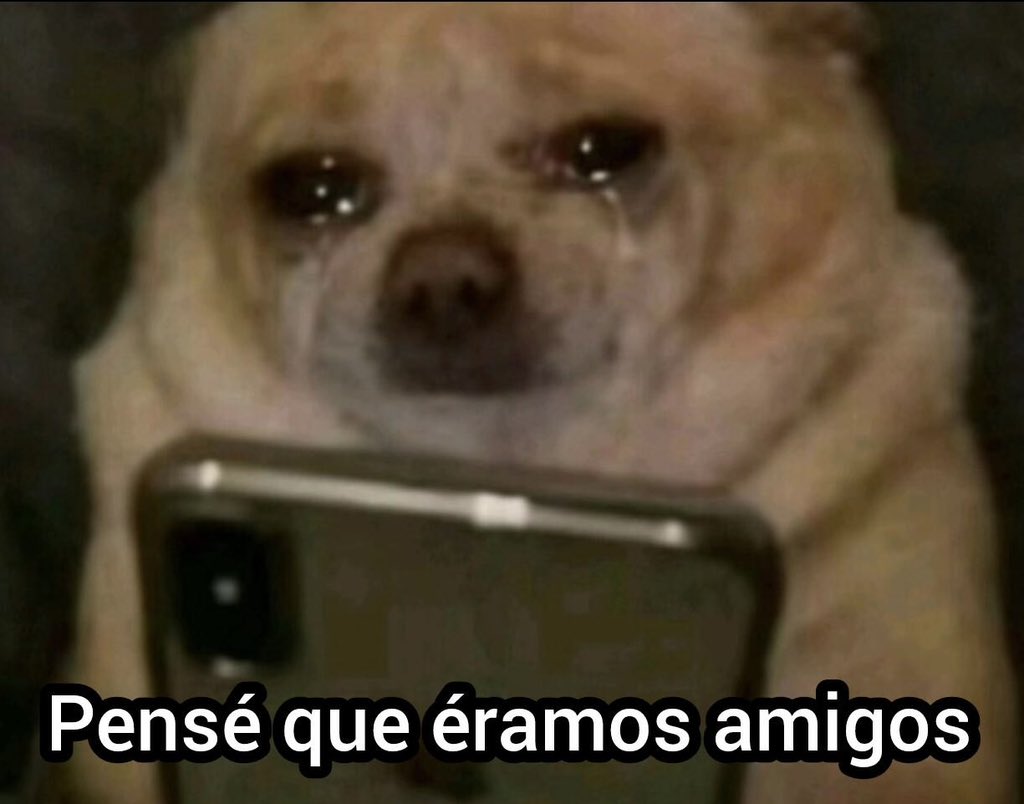 El Taims. tweet media