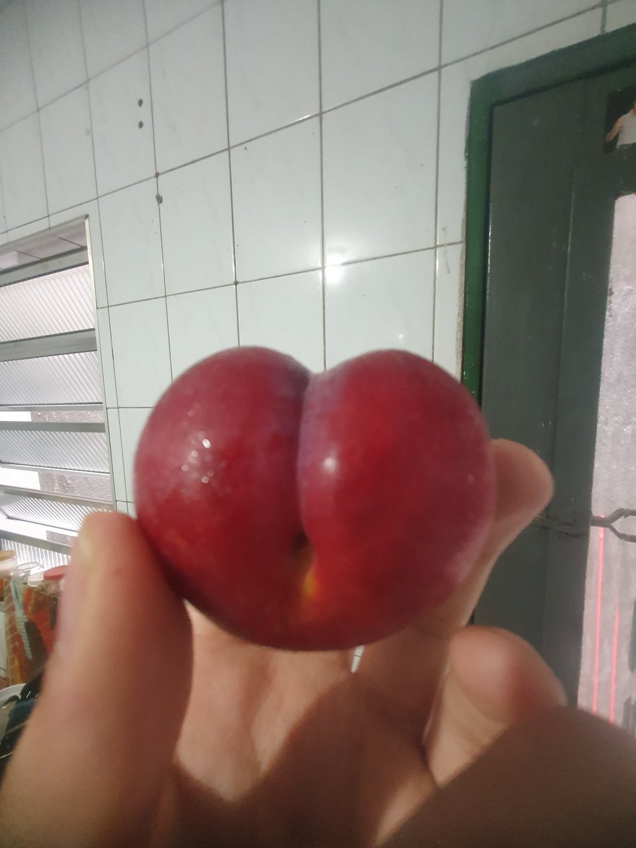 vegetal tweet media