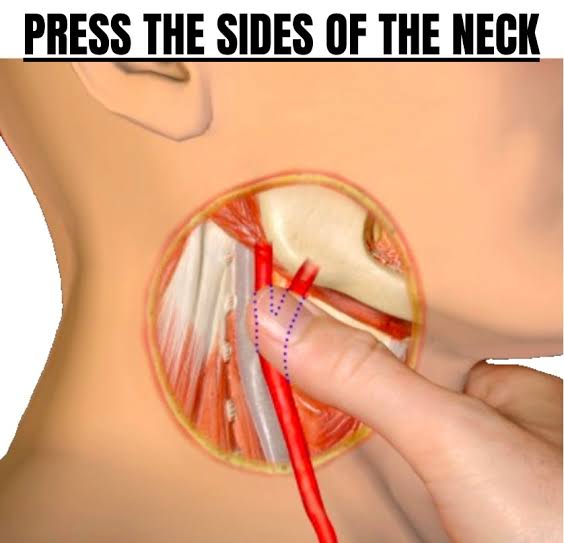 Natipats ΘΔ 🦊🏳️‍⚧️ ButchBait Arc tweet media