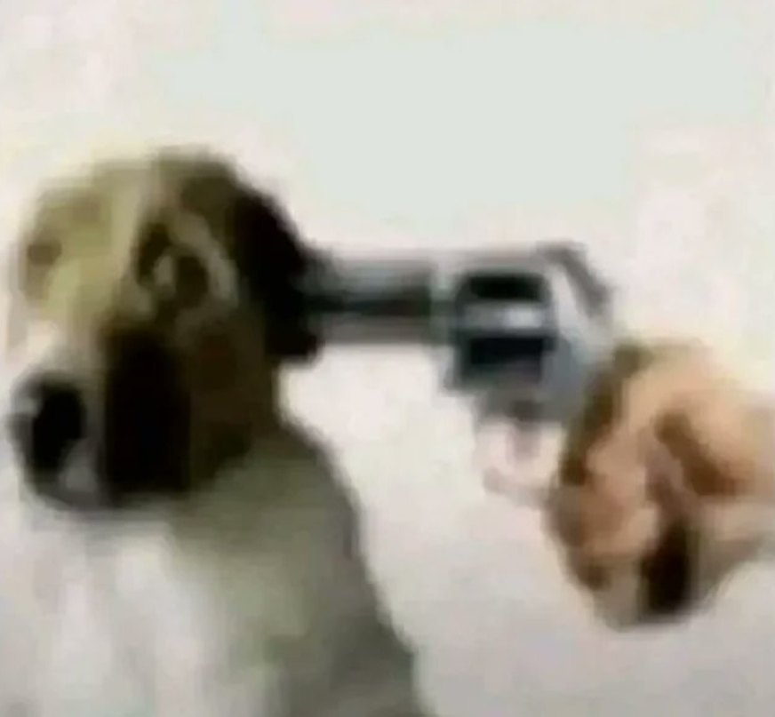 ‼️DANIII🍉 tweet media