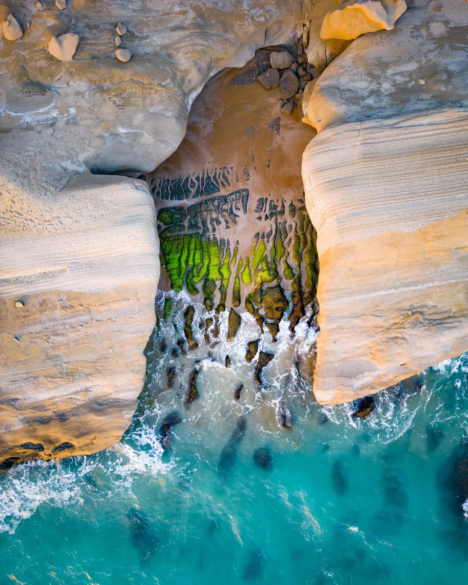 فلات ایران tweet media