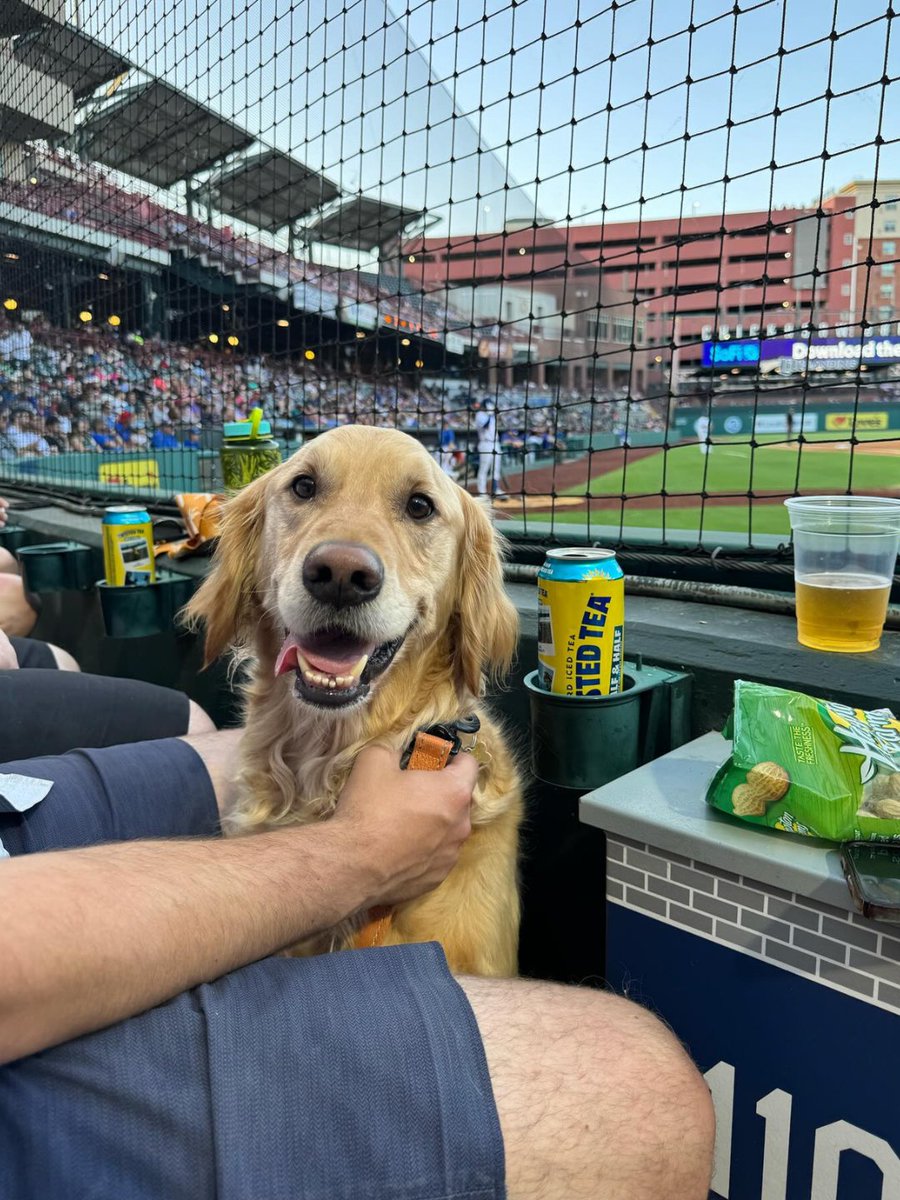 _Bricktown's tweet photo. 🌭 There's about to be a different kind of hot dog filling the stands. Bark in the Park returns to the Chickasaw Bricktown Ballpark on Tuesday, May 5! 🐾
Fetch your tickets today for as low as $17.55! https://t.co/MVyf1qvRgp https://t.co/3IM1pnkCZw