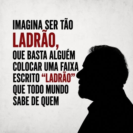 Regina Almeida 🇧🇷🇵🇹🇦🇷🇺🇸 tweet media
