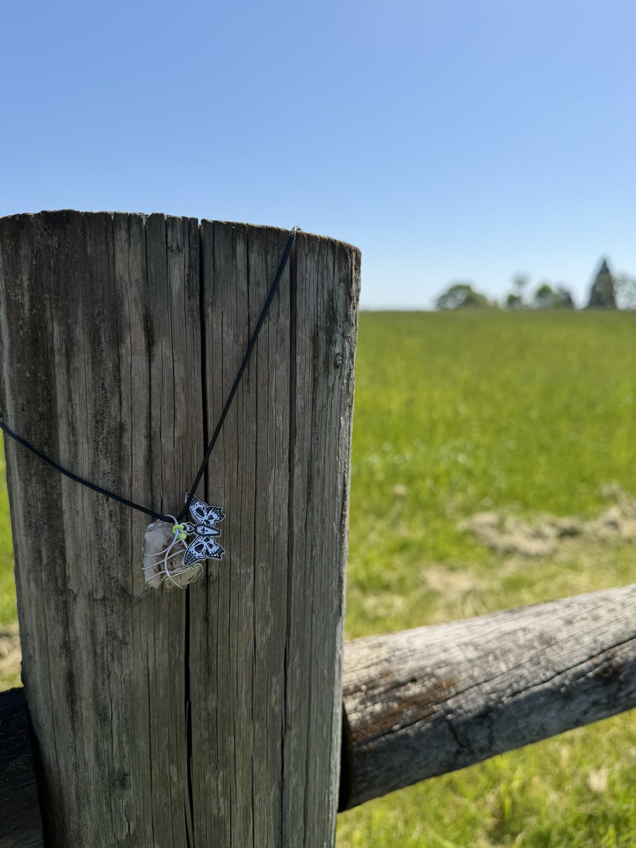 gr00vysphotos's tweet image. Slowly starting to learn wire wrapping, I plan on learning different wire wrap techniques you can choose from ✨🫶🏻  #rockhound #rockhounding #crystals #rockhoundedcrystals #jewelryforsale Insta alistarotandjewelry 🧚‍♀️💚