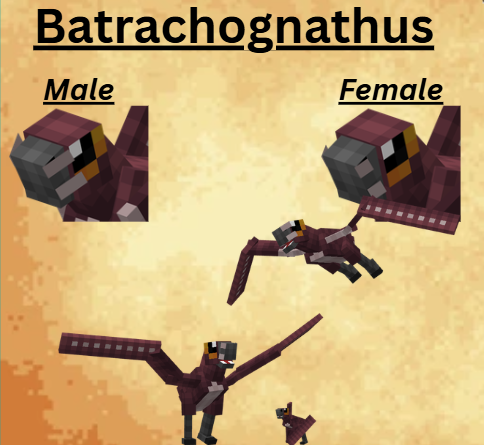 ClassyMonk13447's tweet photo. Batrachognauthus!!!!!!!!!!

#mc #minecraft #mcmod #mcmods #minecraftmod #minecraftmods #dino #dinos #dinosaur #dinomod #dinomods #dinosaurmod #dinosaurmods #prehistoric #prehistoricmod #prehistoricmods #eorevival https://t.co/KRqt3yxFPl