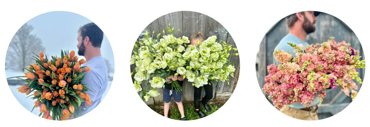 acedc1's tweet photo. ACEDC Member of the Week: Four Blooms Farm
Four Blooms Farm offers a CSA, U-Pick, self-serve market bouquets, custom orders, farm stand &amp; flower carts, DIY Stems, wholesale, and events such as weddings!
Visit: https://t.co/61nKR3FAsi https://t.co/LyE2sOoIga