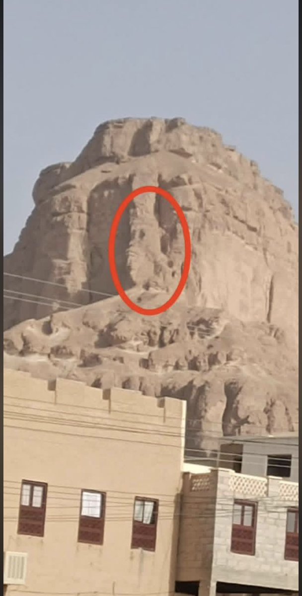 أسامة بن فائض tweet media