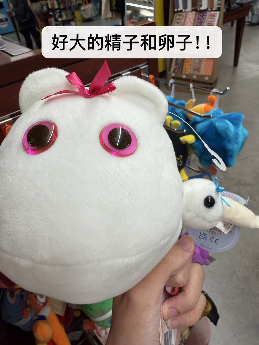 哇咔咔 tweet media
