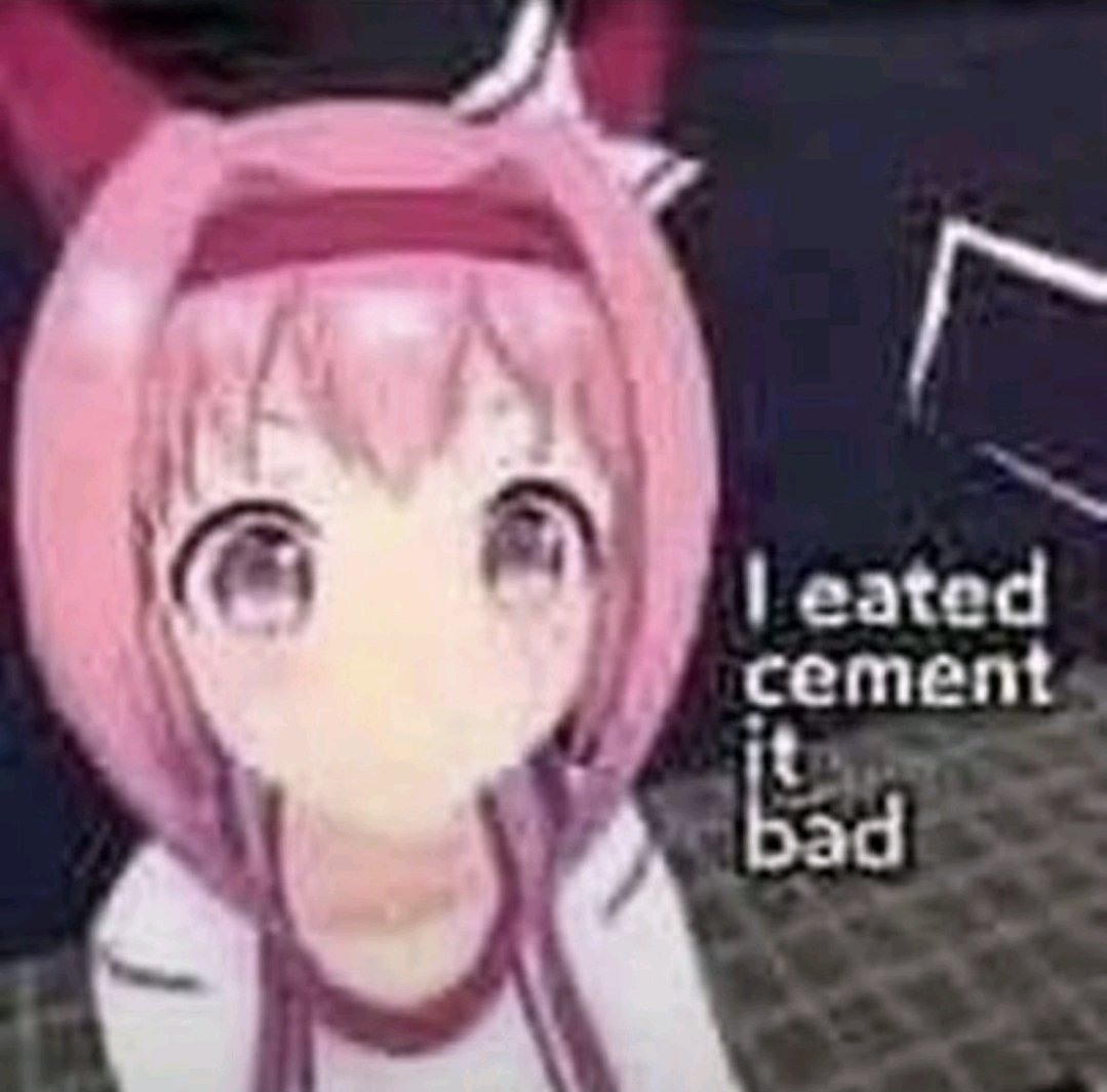 🌸Haru Urara🌸 tweet media