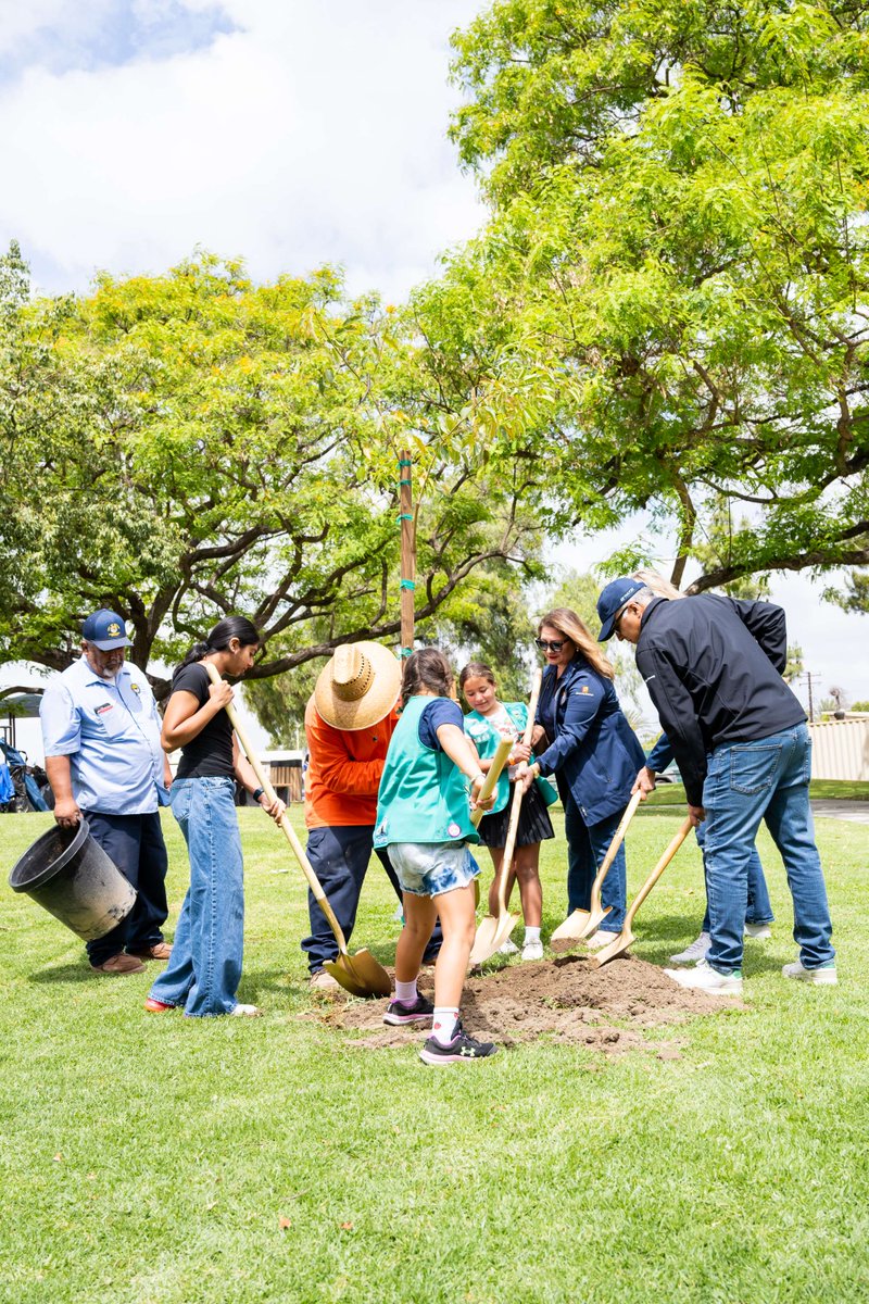 CityofDowney's tweet image. Did someone say new tree? 🌳 Every Arbor Day, community members and the City Council come together to plant a tree following the City’s Arbor Day Celebration, where residents receive a free 5-gallon fruit tree.

#CityofDowney #DowneyCA #ArborDay
