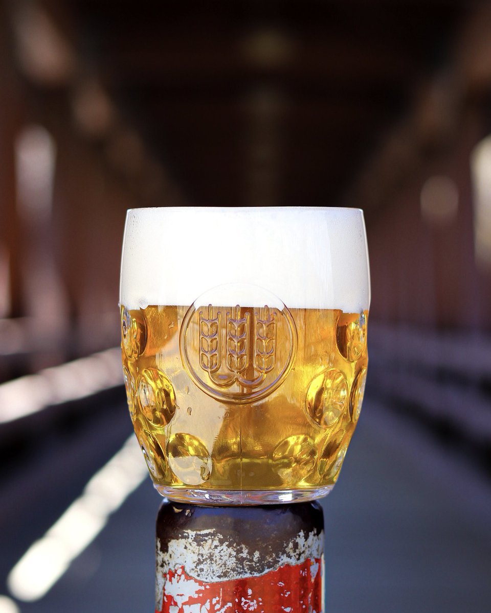 SchillingBeer's tweet photo. We welcome back Maly 8°, our Czech-style session pilsner. This 3.1% ABV lager features floor-malted Moravian pilsner malts for a traditional, delicate character and Czech Saaz and Bohemie hops for balance. The result is a sessionable, subtly spicy, floral, and bright lager. https://t.co/XJFMEN7sYo