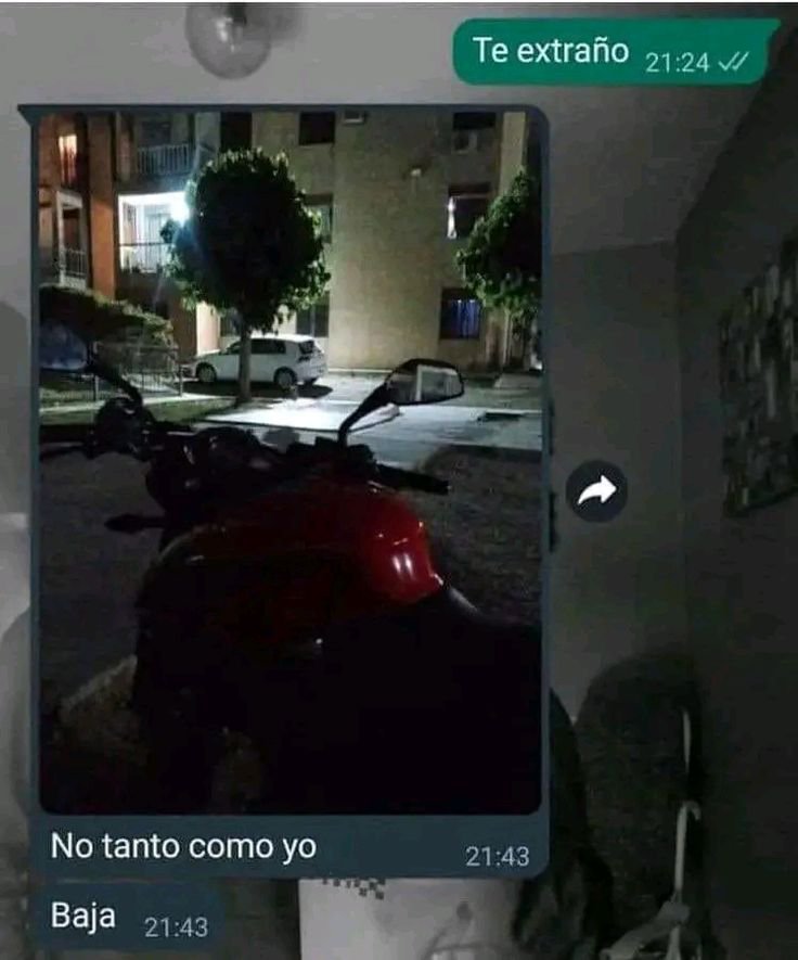 Quilombola tweet media