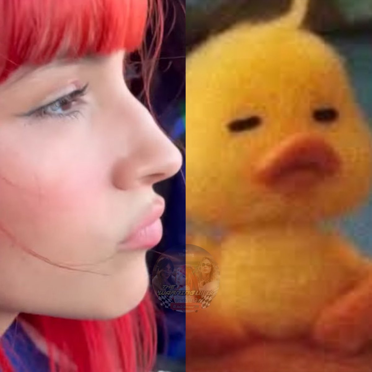 TheWarningLover tweet media