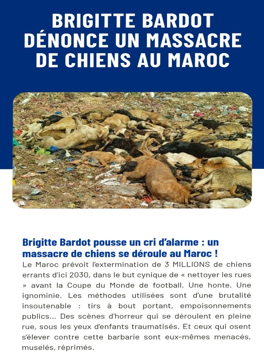Mad🗡️Max - De FRANCE🇨🇵 tweet media
