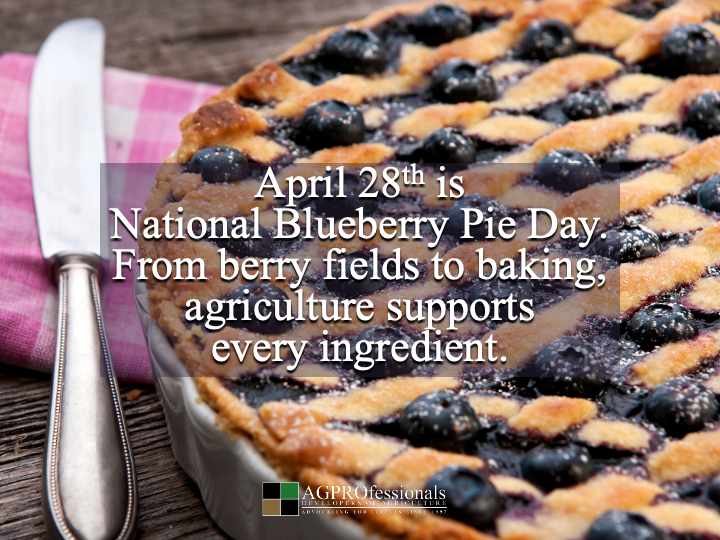 AGPRealEstate's tweet image. Slice of ag 🫐🥧

Fruit + grain + dairy

That is your pie

#BlueberryPieDay #Ag
