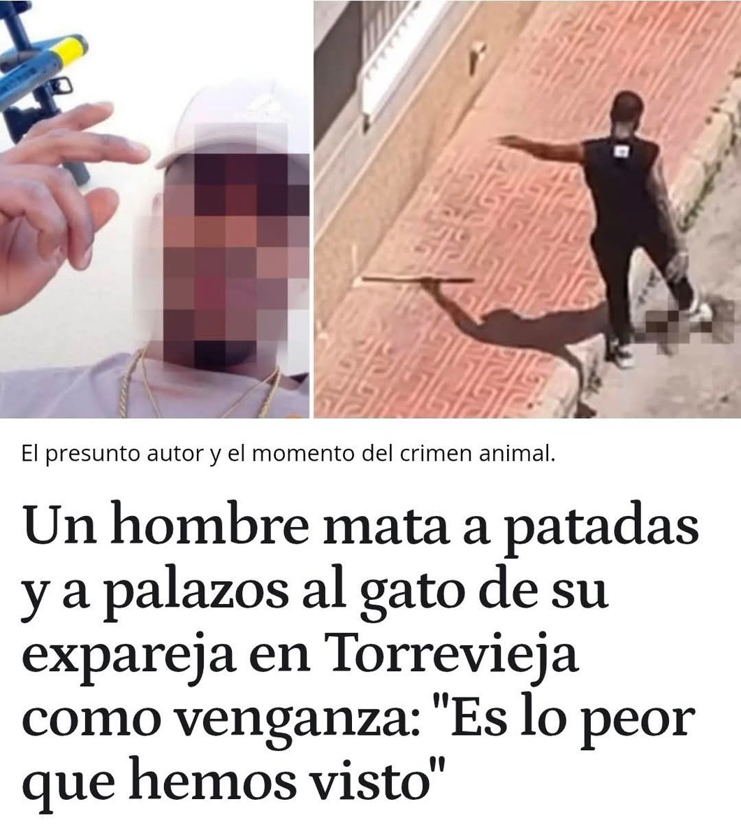 Boniatobill🔻☮️😇 tweet media