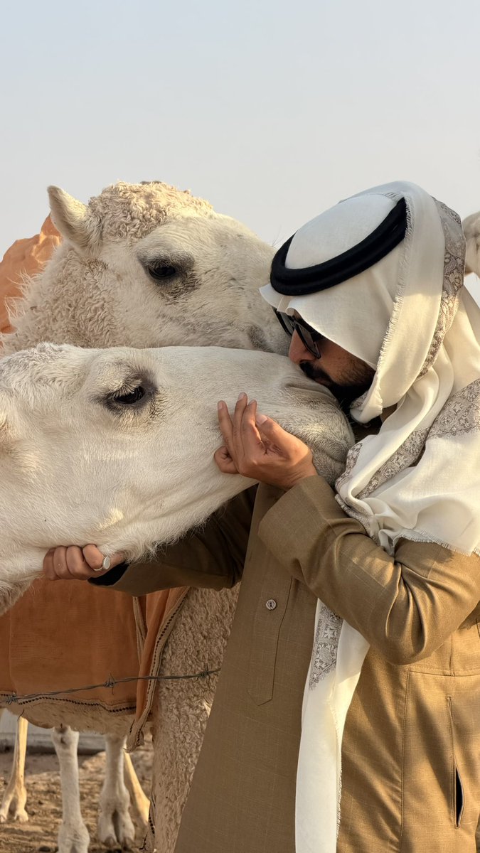 tribe5x's tweet photo. نوب تسذا ونوب تسذا 😂 https://t.co/lVQtcFHbfM