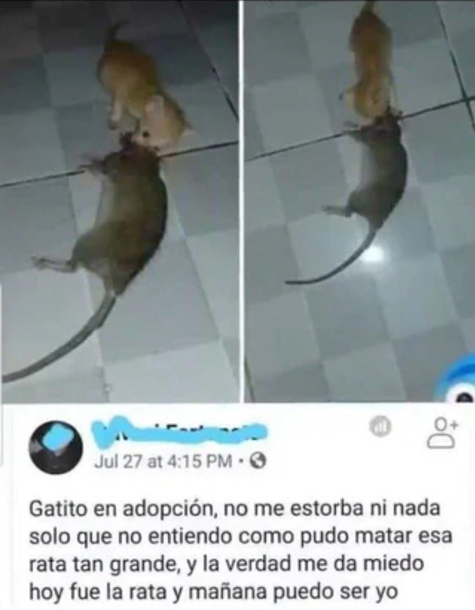 Keo tweet media