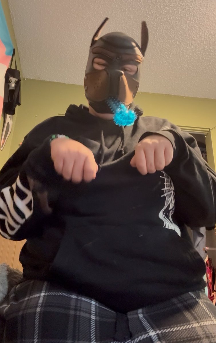 beetlepuppi1's tweet photo. Wruff https://t.co/QJCoZg1yzO