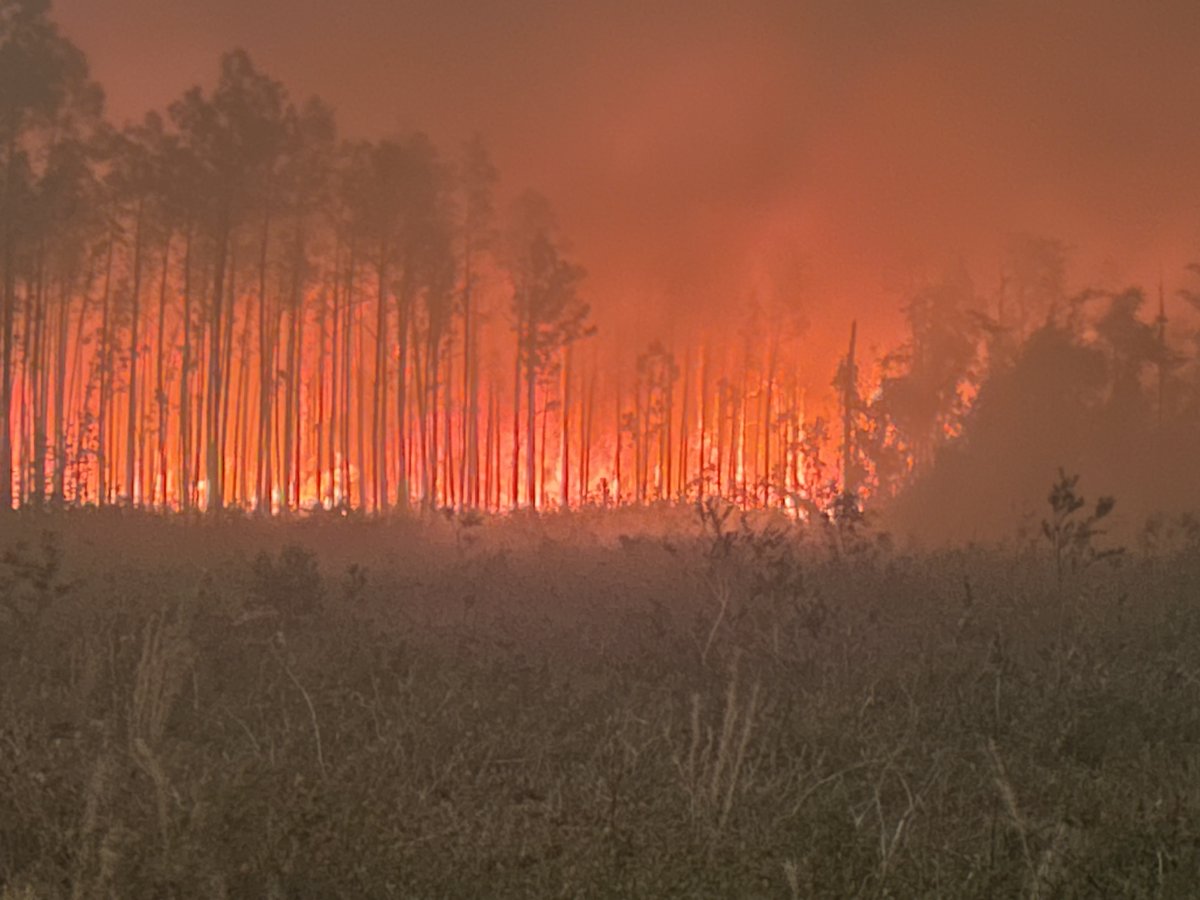 GAForestryCommission tweet media