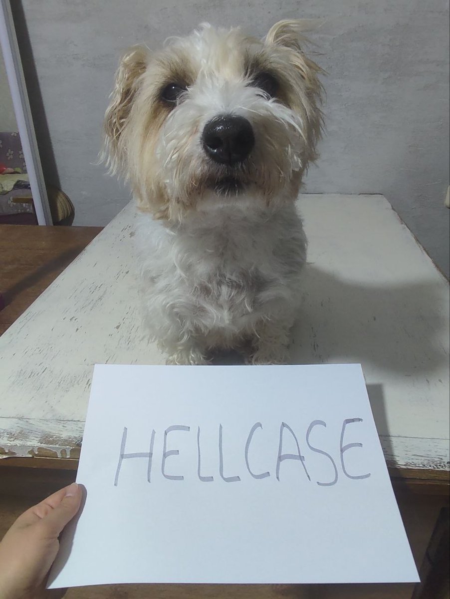 Сергей tweet media