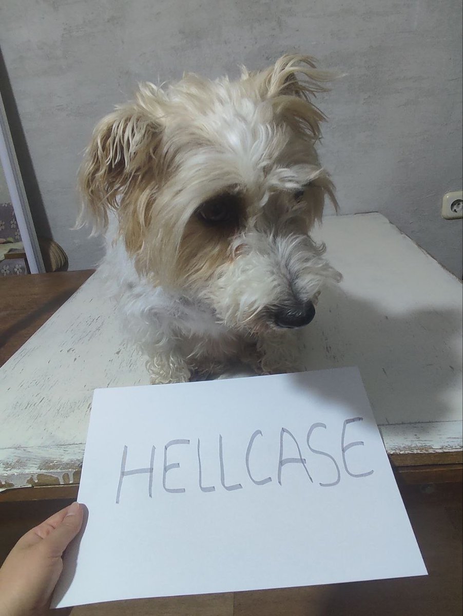 Сергей tweet media